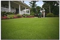 We provide quality lawn care